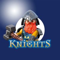 Playmobil Knights