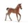 SCHLEICH® Horse Club 13818 - Hannoveraner Fohlen
