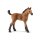 SCHLEICH® 13854 - Quarter Horse Fohlen