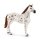 SCHLEICH® 42433 - Lisas Turnier-Training