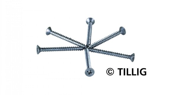 TILLIG 08976 - TT/H0 - Mini-Holzschrauben Senkkopf mit Kreuzschlitz 1,4 mm x 15 mm, Beutel - 100 Stück
