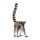 SCHLEICH Wild Life 14827 Katta