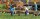 BUSCH Action Set Erdbohrer mit 2 Figuren Bausatz 7834 Spur H0