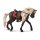 SCHLEICH® Horse Club 42469 - Rocky Mountain Horse Stute Pferdeshow