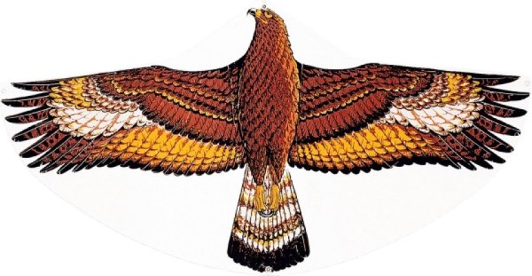 GUENTHER 1146 - Drachen Steinadler