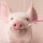 RAVENSBURGER® 08028 - Witzige Tierportraits - 3 x 49 Teile