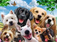 RAVENSBURGER 13228 Kinderpuzzle Delighted Dogs