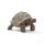 SCHLEICH Wild Life 14824 Riesenschildkröte