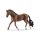 SCHLEICH® Horse Club 13909 - Trakehner Wallach