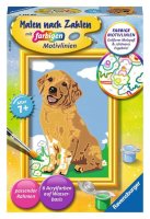 RAVENSBURGER 28511 Malen nach Zahlen Kleiner Golden Retriever