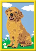 RAVENSBURGER 28511 Malen nach Zahlen Kleiner Golden Retriever