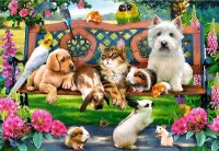 CASTOR 104406 Castorland Puzzle Pets in the Park 1000 Teile