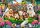CASTOR 104406 Castorland Puzzle Pets in the Park 1000 Teile