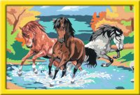 RAVENSBURGER 28492 Malen nach Zahlen Stolze Wildpferde