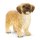 SCHLEICH Farm World 13931 Shih Tzu Malteser Mix