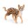 SCHLEICH Farm World 13918 Bengal Katze