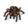 SCHLEICH Wild Life 14829 Vogelspinne