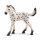 SCHLEICH® Horse Club 13890 - Knabstrupper Fohlen