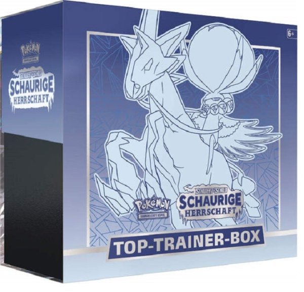 AMIGO 45294 PKM SWSH06 Schaurige Herrschaft Top-Trainer Box