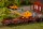 AUHAGEN Lader T172 Bahnmeisterei Bausatz 41668 Spur H0
