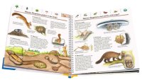 RAVENSBURGER 32989 Mein großes Natur-Lexikon / Wieso? Weshalb? Warum? Sonderband