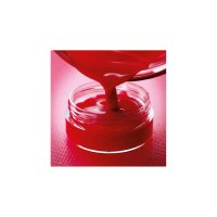 CLEMENTONI Galileo Lippen-Balsam 59115