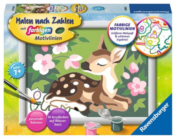 RAVENSBURGER 20060 - Malen nach Zahlen: Kleines Reh