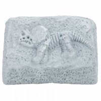 DEPESCHE 5556 Dino World Ausgrabungs-Set klein