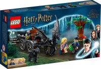 LEGO Harry Potter 76400 Hogwarts Kutsche mit Thestralen