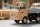 AUHAGEN Multicar M22 Pritsche mit Anh&auml;nger Holzbau 40507 Bausatz Spur H0