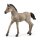 SCHLEICH Horse Club 13949 Criollo Definitivo Fohlen