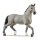 SCHLEICH Horse Club Cheval de Selle Francais Hengst 13956