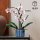 LEGO Icons Orchidee Botanik Kollektion 10311