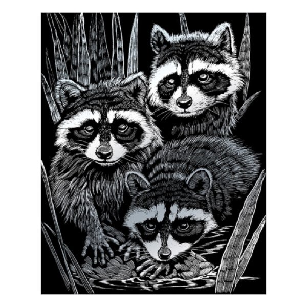 PRACHT Kratzbild Waschbären 20x25 cm silber 20131