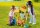 PLAYMOBIL Country 71309 Katzenfamilie