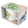 DEPESCHE Dino World Becher erhabener T-Rex 12375