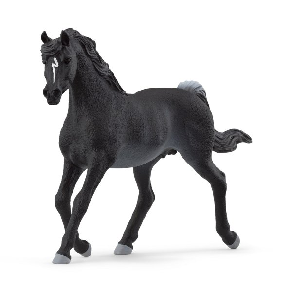 SCHLEICH Horse Club Araber Hengst 13981