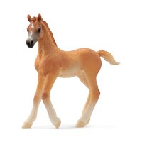 SCHLEICH Horse Club 13984 Araber Fohlen