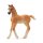 SCHLEICH Horse Club Araber Fohlen 13984