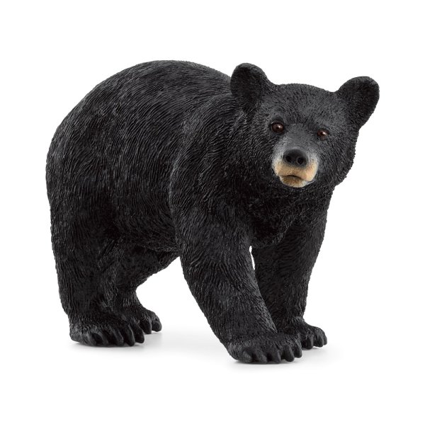 SCHLEICH Wild Life Amerikanischer Schwarzbär 14869