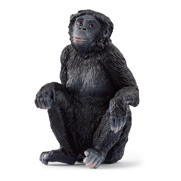 SCHLEICH Wild Life Bonobo Weibchen 14875