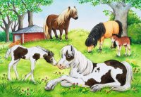 RAVENSBURGER 08882 Kinderpuzzle Welt der Pferde