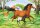RAVENSBURGER 08882 Kinderpuzzle Welt der Pferde