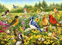 RAVENSBURGER 16988 Puzzle Vogelwiese 500 Teile