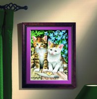 MAMMUT Malen nach Zahlen Motiv Zwei Kätzchen 110006