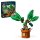 LEGO Harry Potter™ 76433 Zaubertrankpflanze Alraune