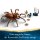 LEGO Harry Potter™ 76434 Aragog im Verbotenen Wald™