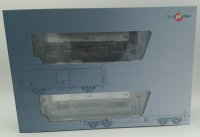 TILLIG Set mit 2 Containertragwagen der DR Deutschen Post Ep.IV 70056 Spur H0