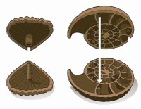 CLEMENTONI Galileo Ausgrabungs-Set Fossilien und Mineralien 59381