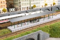 AUHAGEN Bahnsteig Bausatz 13355 Spur TT